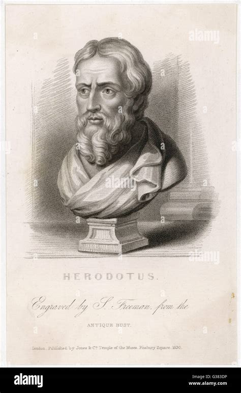 Herodotus Galleries.